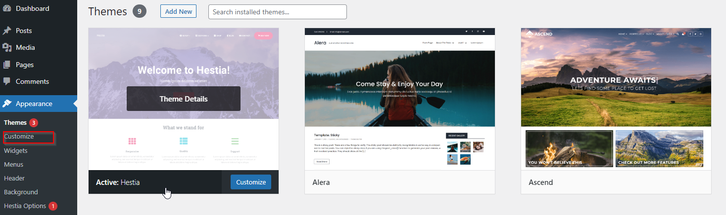 customize your WordPress theme