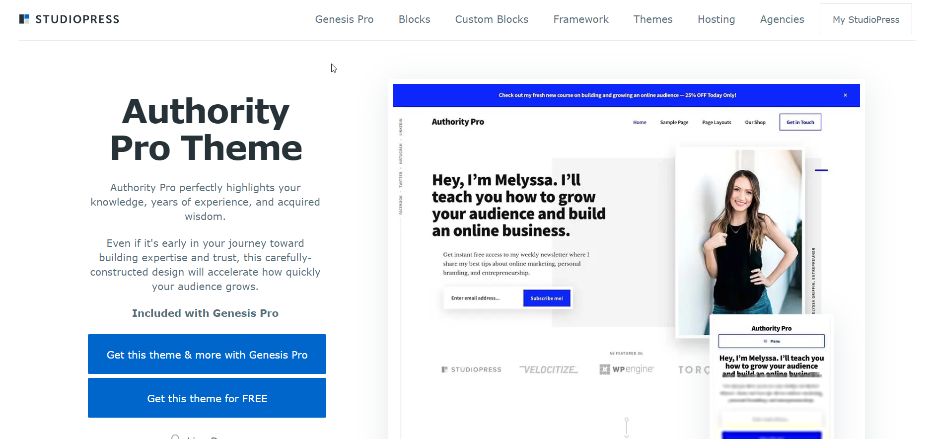 customize your WordPress theme