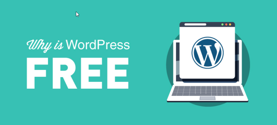 Why You Should Use WordPress