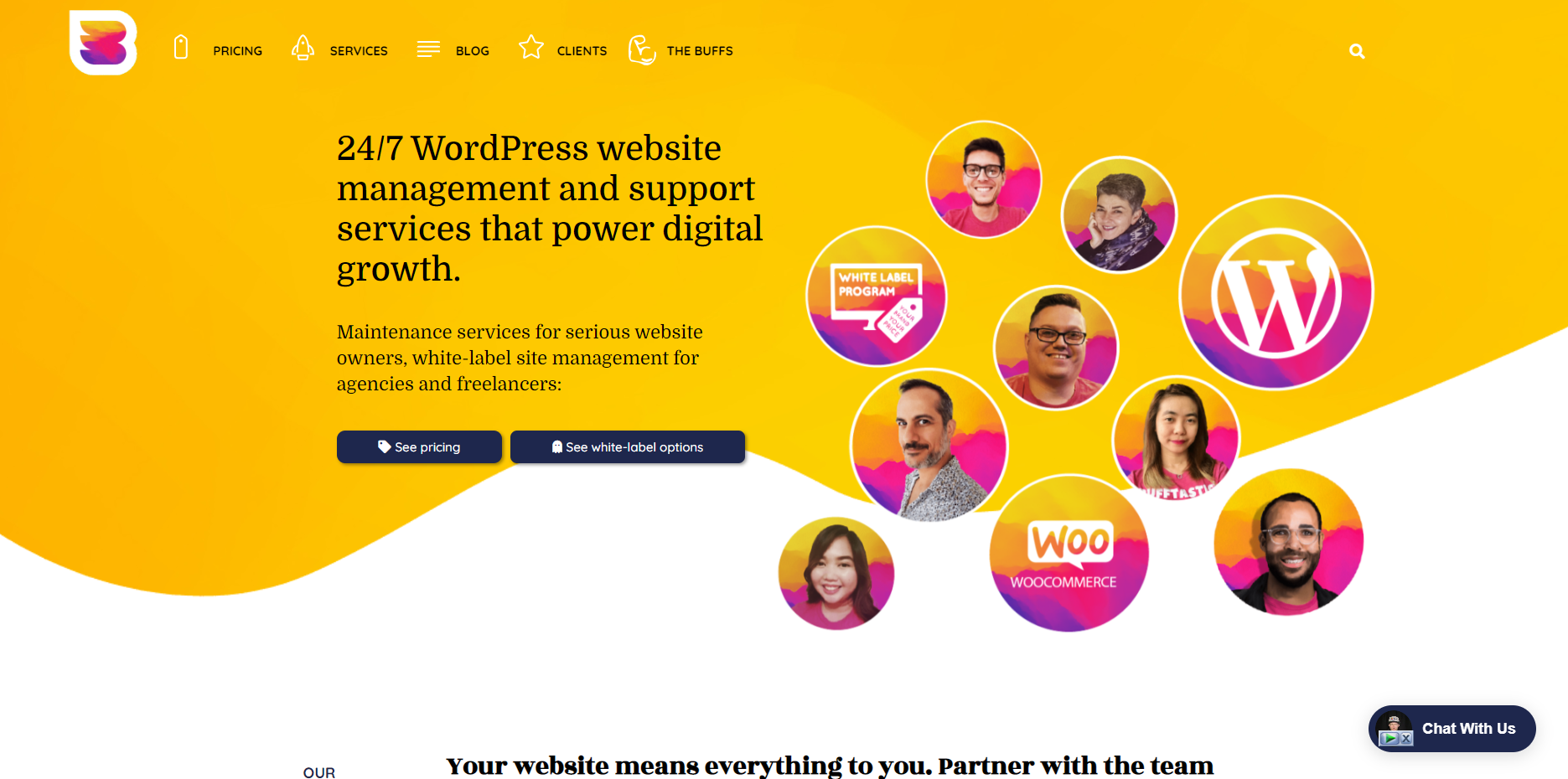 WordPress website maintenance services